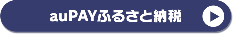 auPAYふるさと納税