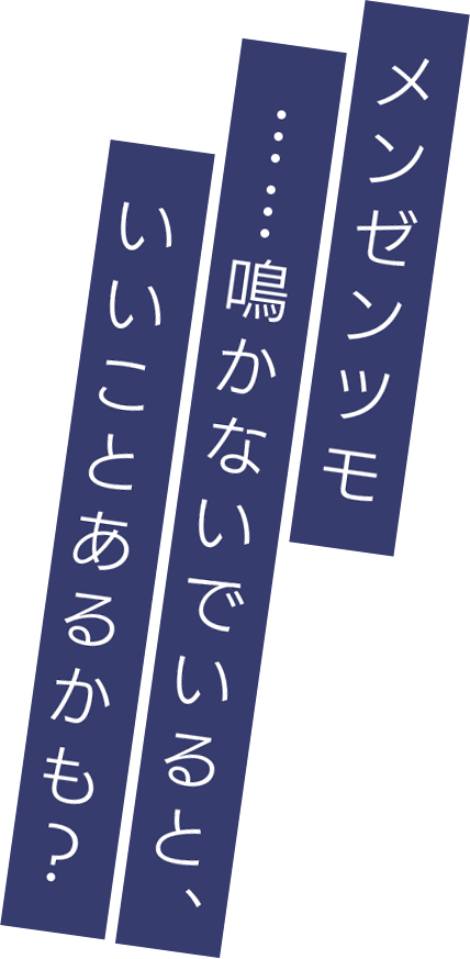 メンゼンツモ……鳴かないでいると、いいことあるかも？
        