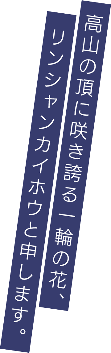 高山の頂に咲き誇る一輪の花、リンシャンカイホウと申します。
