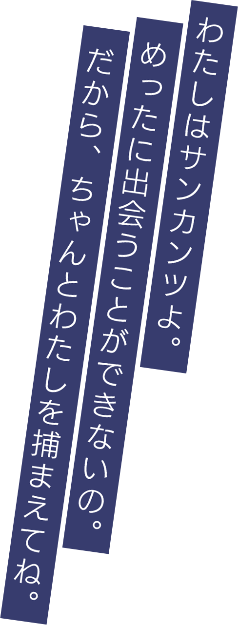 わたしはサンカンツよ。めったに出会うことができないの。だから、ちゃんとわたしを捕まえてね。